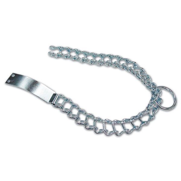 collare per cane in metallo nichelato