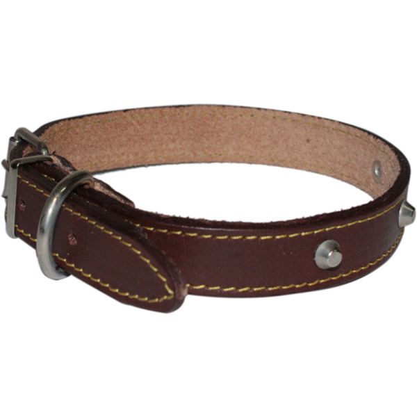 collare per cane in cuoio con borchie