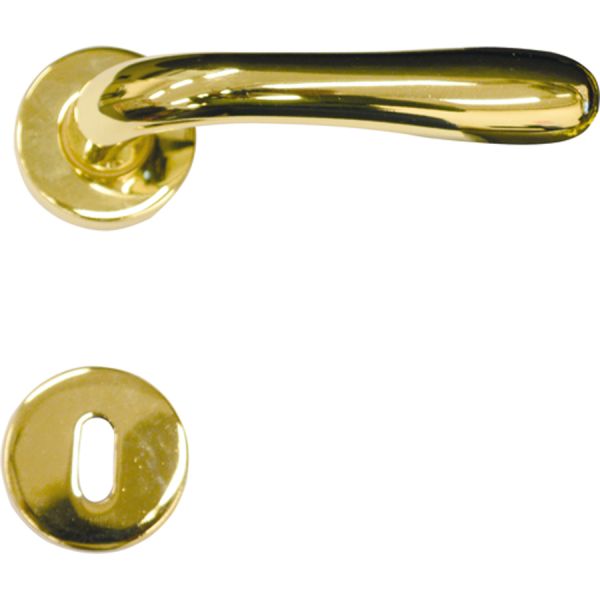 maniglia per porta oro lucido 