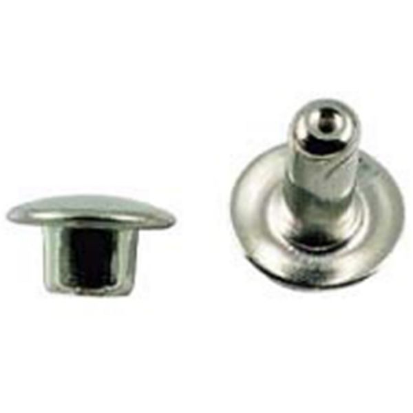 rivetti maschio femmina 