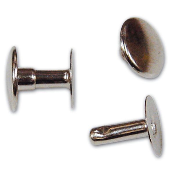 rivetti maschio femmina