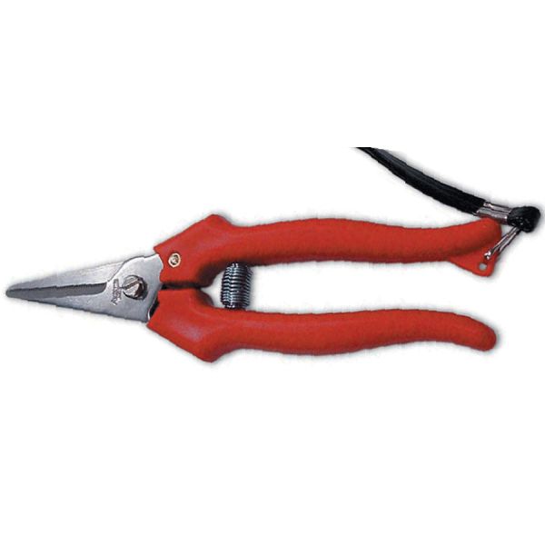 FORBICI COGLIUVA AUSONIA 31321 150MM LAMA INOX