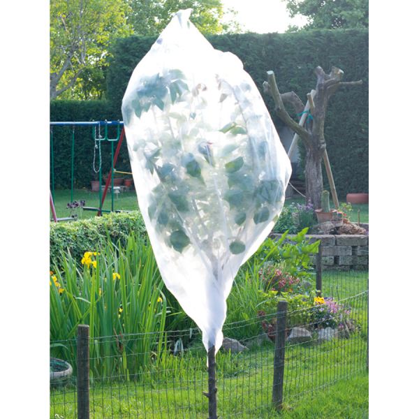 telo di protezione per ortaggi a cappuccio in tnt papillon