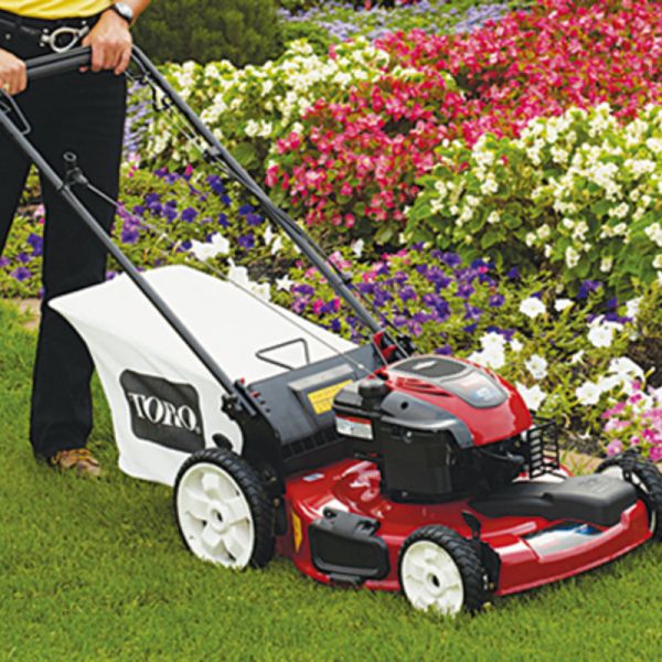 Rasaerba e decespugliatore