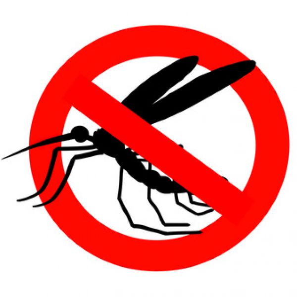 Stop Animali ed Insetti