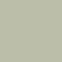 5513 - Grigio Verde Pallido
